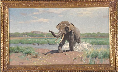 Indische olifant uit het water stappend, 1903, Wilhelm Kuhnert