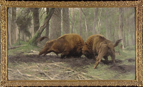 Vechtende wisentstieren in het woud van Bialowieza, 1903, Wilhelm Kuhnert