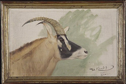 Kop van roan-antilope, 1911, Wilhelm Kuhnert