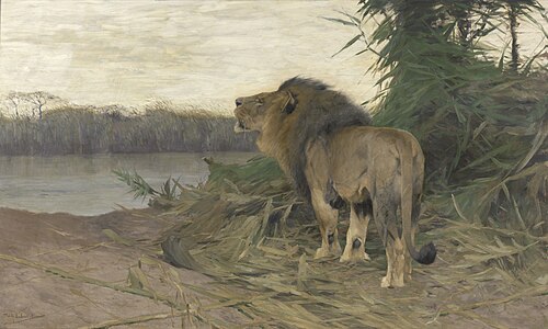 Leeuw aan de Ruaharivier, Tanzania, Afrika, 1903, Wilhelm Kuhnert