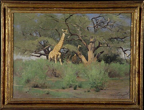 Giraffen onder acacia's na regentijd, 1905, Wilhelm Kuhnert