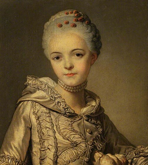 Portrait of a Lady in a Grey Dress with a Dog, 1767, Alexandre Roslin