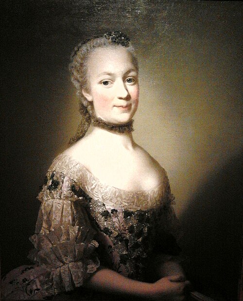 Portrait of Katarzyna Mniszech née Zamoyska, 1752, Alexander Roslin