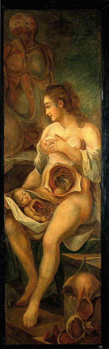 A Seated Woman, Dissected, Holding a Dissected Baby, Accompanied by Separate Sections of the Body, 1764, Jacques Fabien Gautier d'Agoty
