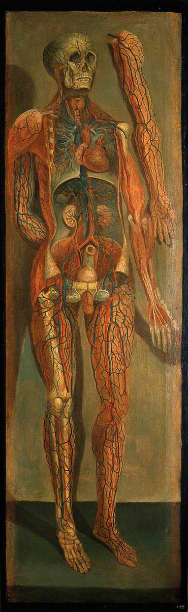 A Standing Dissected Man Showing the Viscera and Blood Vessels, with a Separate Figure of the Left A, 1764, Jacques Fabien Gautier d'Agoty