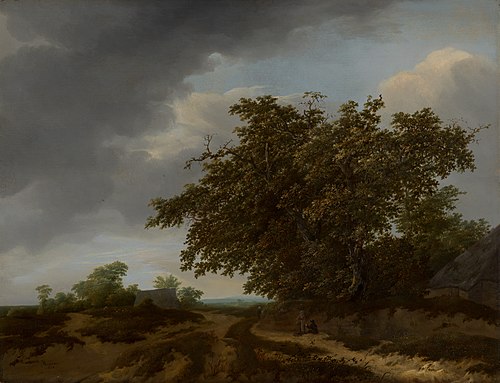 Paysage de dunes, 1648, Jan Vermeer van Haarlem l'anci