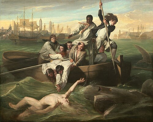 Watson et le requin, 1778, John Singleton Copley