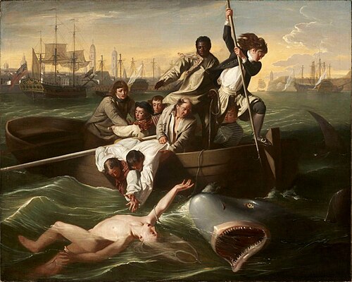 Watson et le requin, 1778, John Singleton Copley