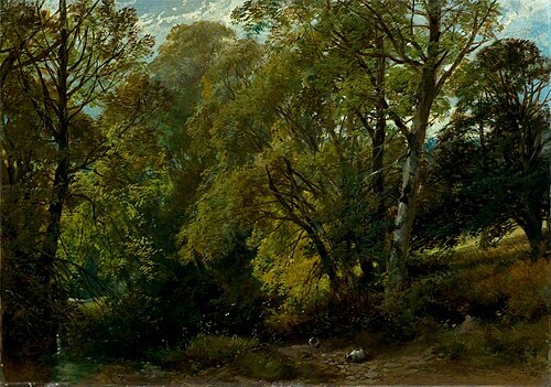 A Shady Nook, 1858, James Duffield Harding