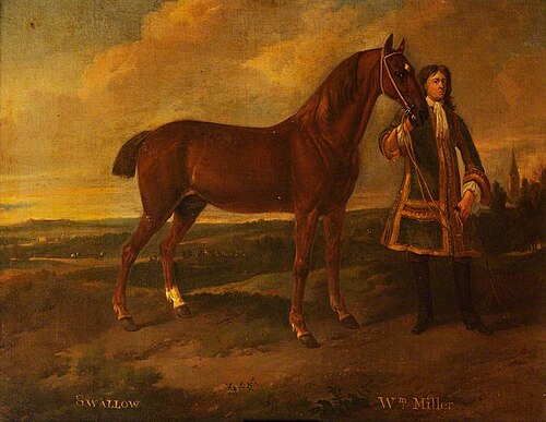 'Swallow' and Old William, Groom to Sir T. S. Bonnet, 1700, Jan Wyck