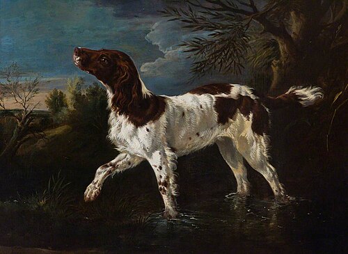 A Pointer in a Landscape, , Jan Wyck