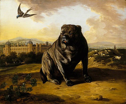 A Dutch Mastiff (called 'Old Vertue') with Dunham Massey in the background, 1700, Jan Wyck