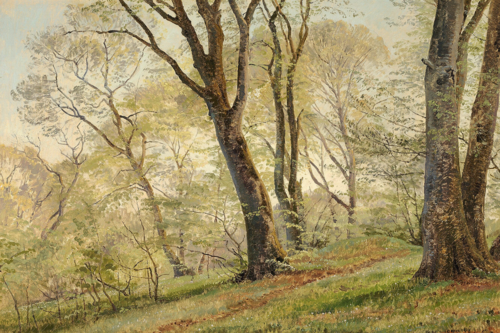 Woodlands with beeches in the springtime., 1875, Janus La Cour
