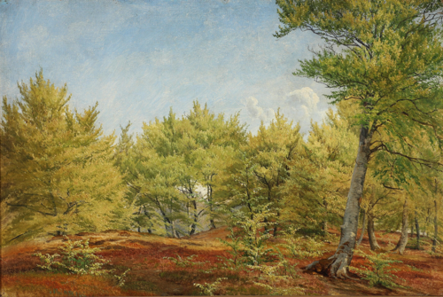 Forårsdag i skoven, 1858, Janus La Cour