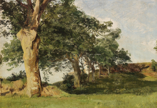 Study of trees along a fence., 1882, Janus La Cour