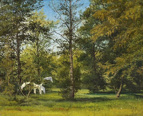 Drying space in Helgenæs Woods, Jutland., 1859, Janus La Cour
