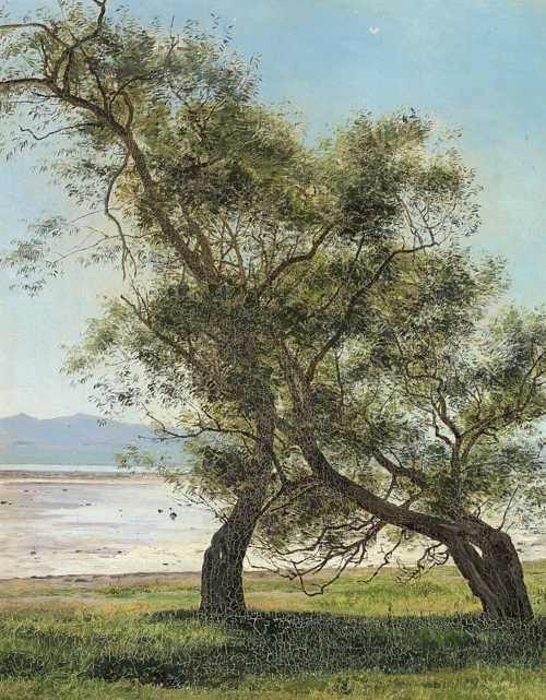 Old willow trees at Følle beach., 1881, Janus La Cour