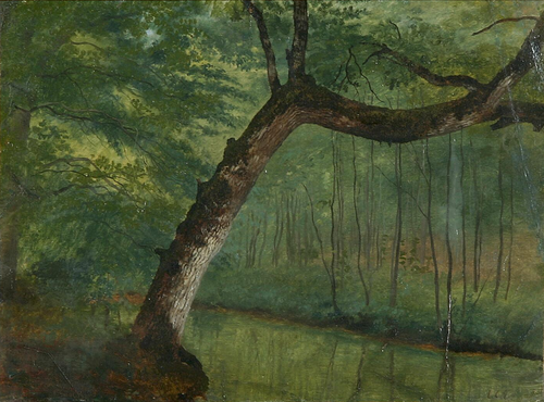 A pond in the woods., 1882, Janus La Cour