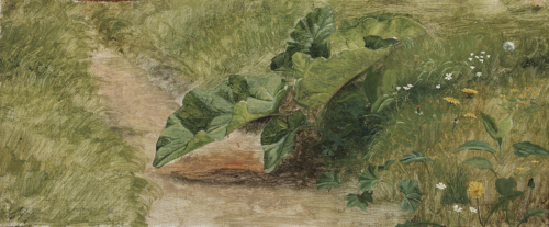 A study of leaves and wild flowers., 1882, Janus La Cour