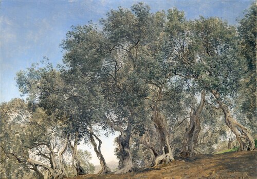 Olive Grove at Tivoly, Italy, 1869, Janus La Cour