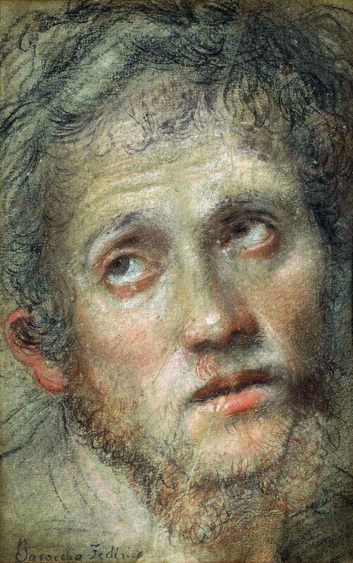 Głowa młodego mężczyzny, 1550, Federico Barocci