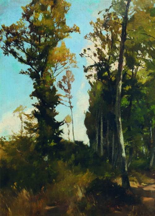 Waldlichtung bei Purkersdorf, 1872, Carl Schuch
