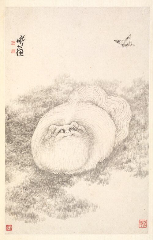 Cat and Butterfly, 1788, Min Zhen