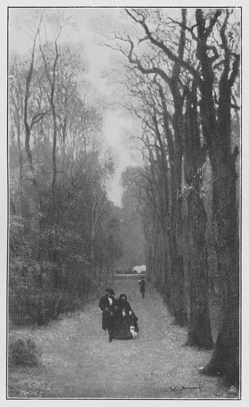 Motiv aus dem Tiergarten, , Wilhelm Amberg