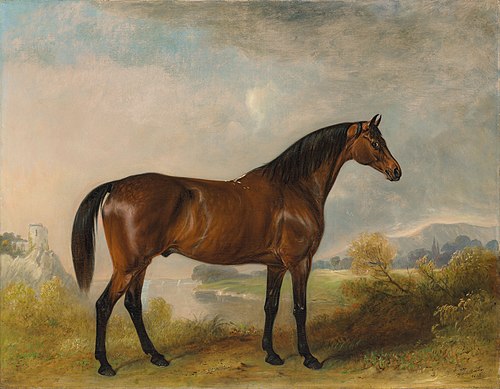 'Rodolph', a bay hunter, in an extensive landscape, , John Ferneley
