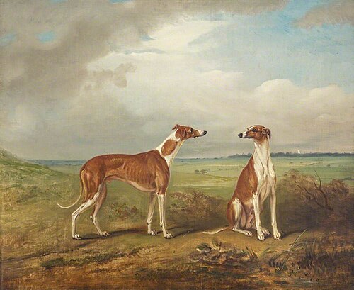 A Pair of Greyhounds, 1824, John Ferneley