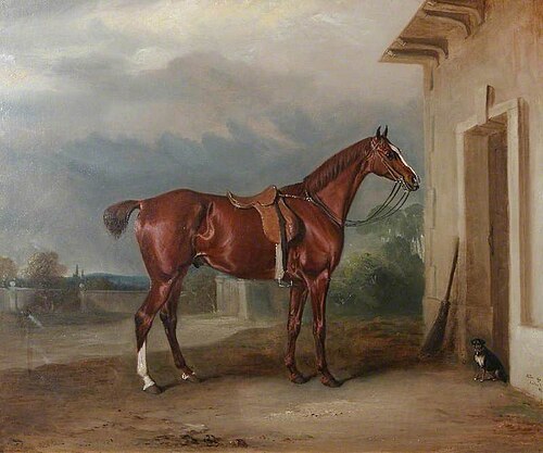 'Orion', a Chestnut Hunter Outside a Stable, 1831, John Ferneley
