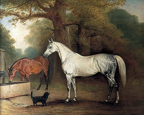 Two Horses and a Dog, 1845, John Ferneley