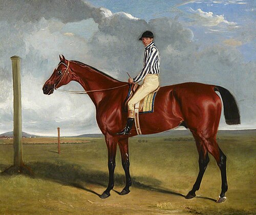 Bay Racehorse and Rider, , John Ferneley