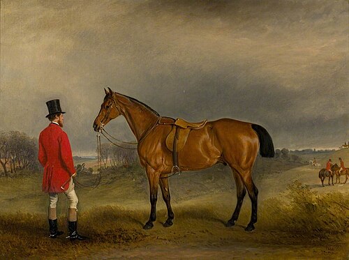 Lord Newport and Rowton, a Favourite Hunter, , John Ferneley