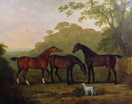 Hunters at Grass, , John Ferneley