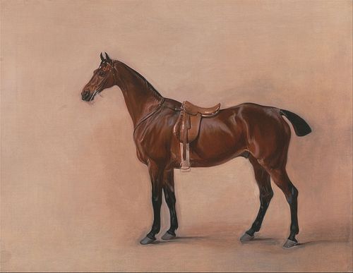 Study of a Saddled Bay Hunter, 1828, John Ferneley