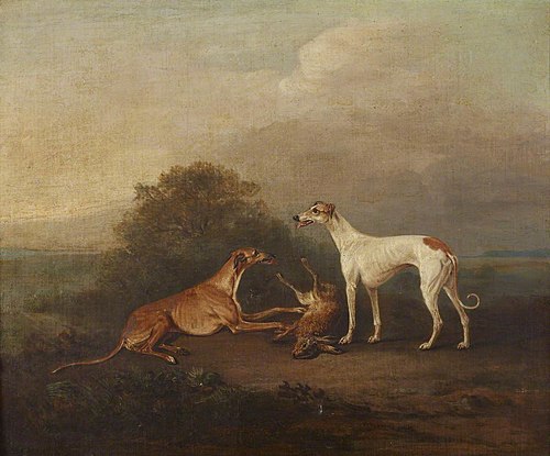 Two Greyhounds and a Dead Hare, 1824, John Ferneley