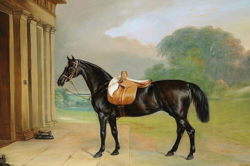 A Bay Hunter called 'Queen Mab'  outside Calke Abbey, 1842, John Ferneley