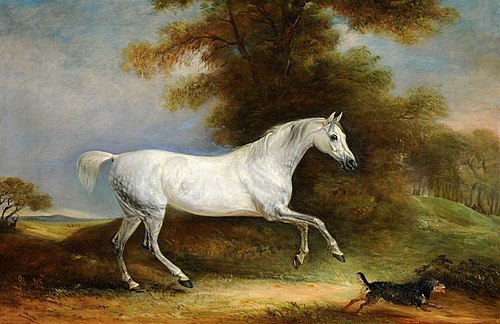A Dappled Grey Hunter called 'Spangle' and a Terrier called 'Reveller', 1843, John Ferneley