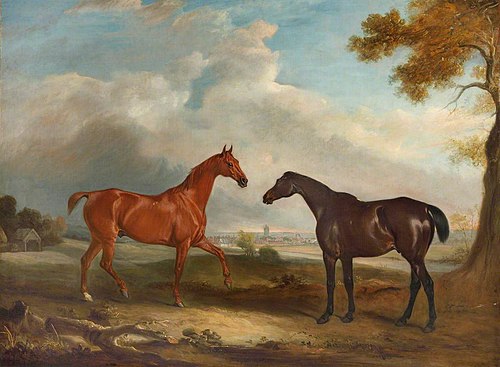 Two Hunters called 'Cock Robin' and 'Langar', 1834, John Ferneley