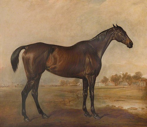 A Hunter called 'Nightmare', 1850, John Ferneley