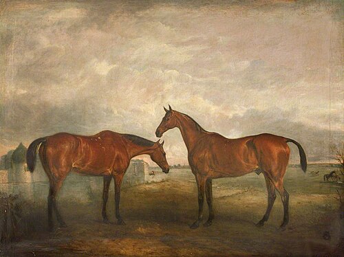 Two Hunters called 'Sambo' and 'Pilot', 1840, John Ferneley
