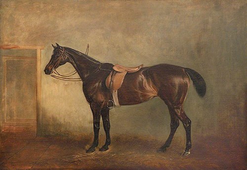 A Hunter, 1848, John Ferneley