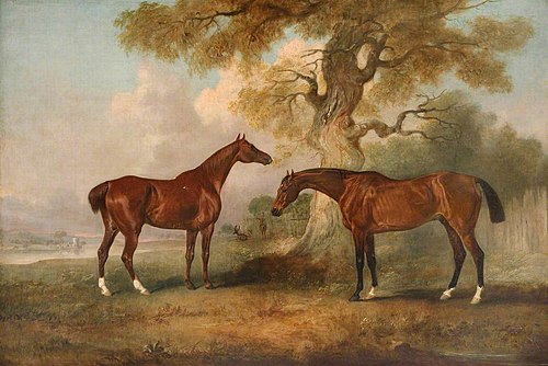 Two Hunters called 'Rufus' and 'Leporello', 1830, John Ferneley