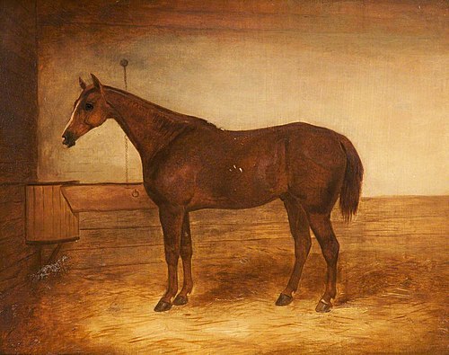 Chestnut Hunter in a Stable, 1830, John Ferneley