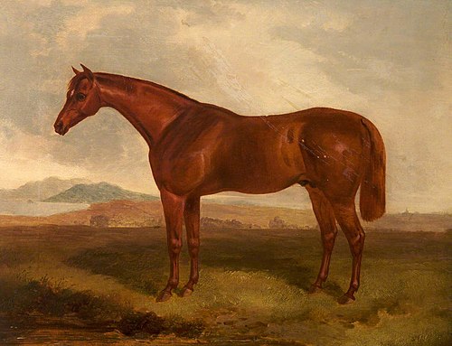 A Chestnut Hunter in a Field, 1830, John Ferneley