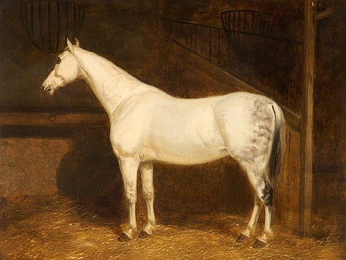 Grey Hunter in a Stable, 1830, John Ferneley