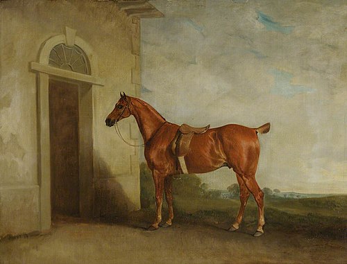 Chestnut Hunter before a Stable, 1825, John Ferneley