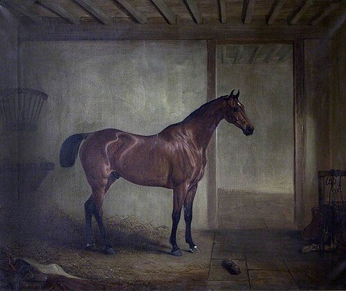 A Bay Hunter in Stable, 1829, John Ferneley