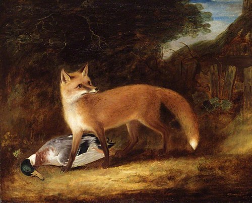 Fox and Duck, 1813, John Ferneley